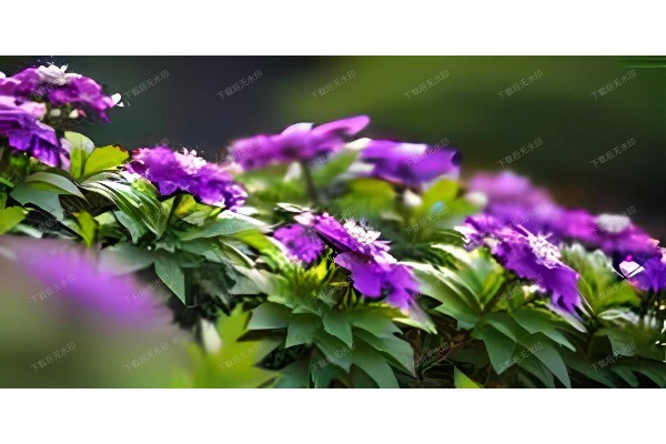 419杭州百花坊：一场时尚潮流的聚会
